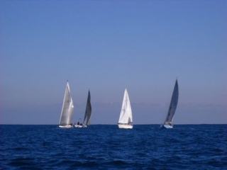 Regatas de todo tipo